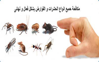 Photo of مميزات شركة حشرات المنزل