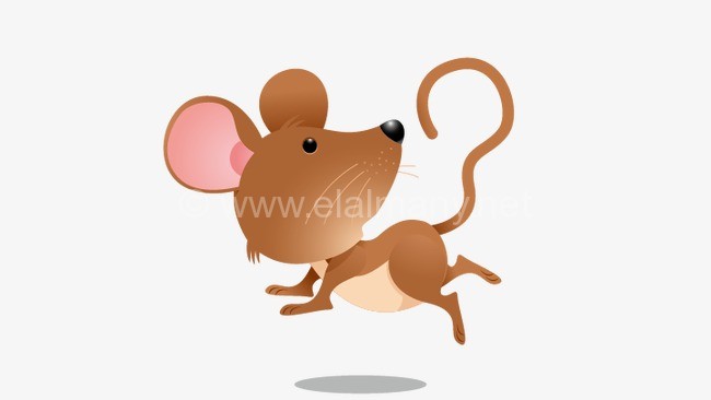 Photo of كيفية القضاء على الفئران