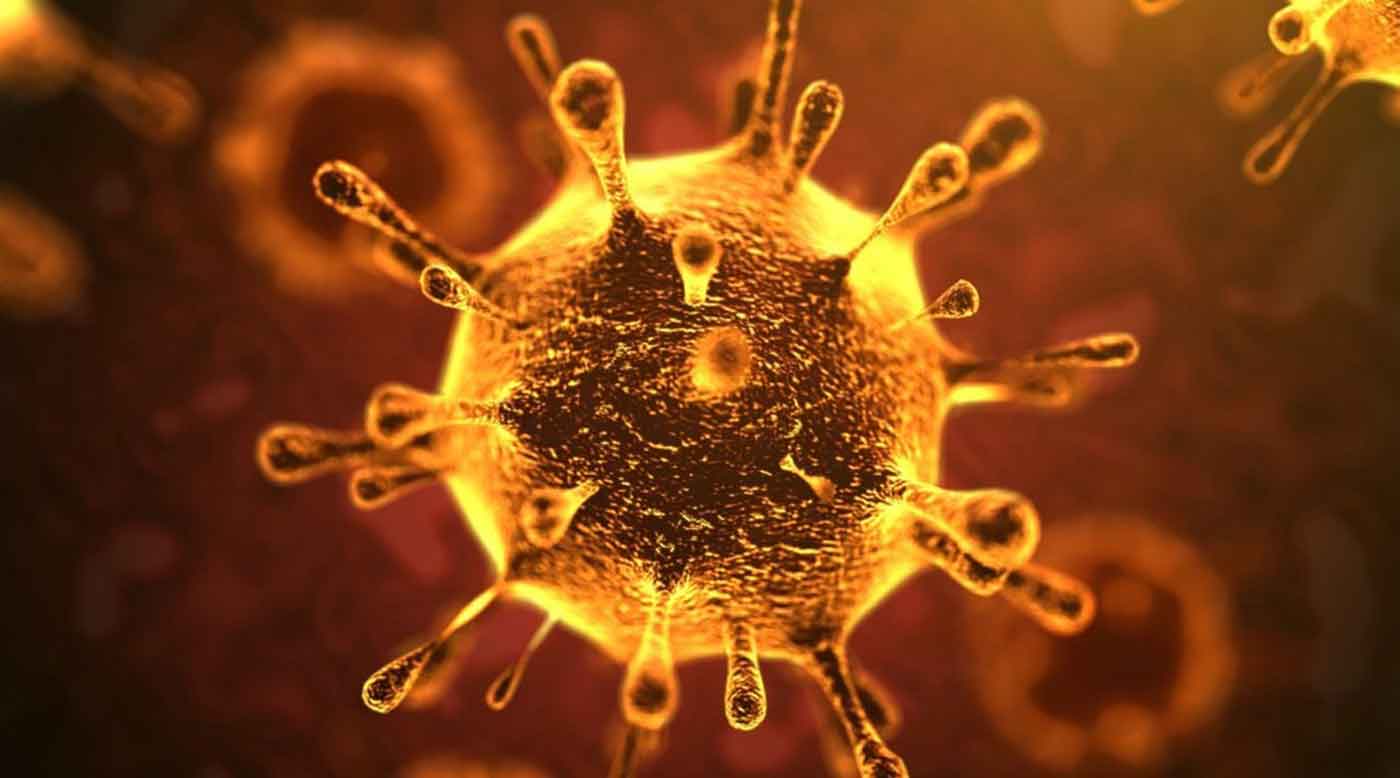 سلالة فيروس كورونا الجديد في جنوب افريقيا