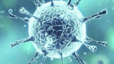 Photo of ماهي مدى سرعة انتشار فيروس كورونا الجديد