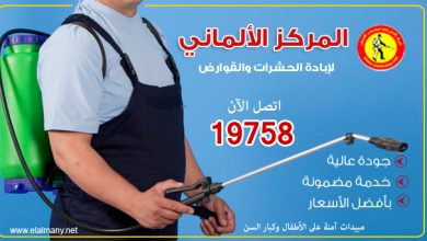 Photo of طرق التخلص من نمل المنزل المعطر
