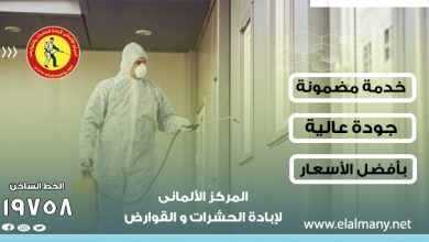 Photo of التخلص من النمل في المنزل بأفضل الطرق