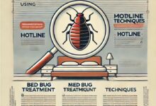 علاج البق بأحدث التقنيات: كيفية التخلص من بق الفراش نهائيًا